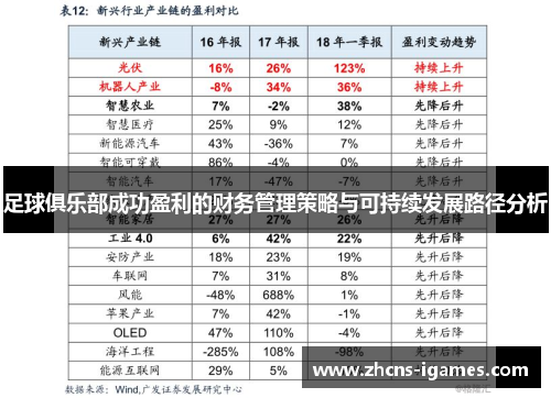 足球俱乐部成功盈利的财务管理策略与可持续发展路径分析 足球俱乐部成功盈利的财务管理策略与可持续发展路径分析